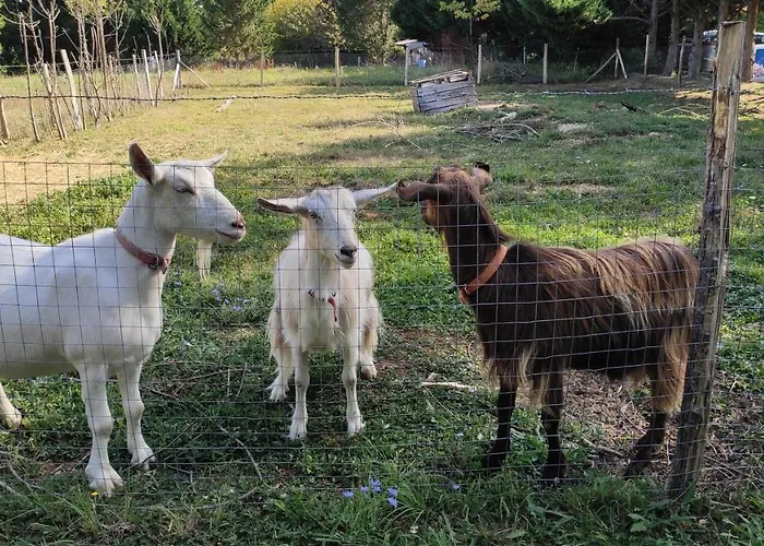 Alojamento de Acomodação e Pequeno-almoço Domaine De Potofayol